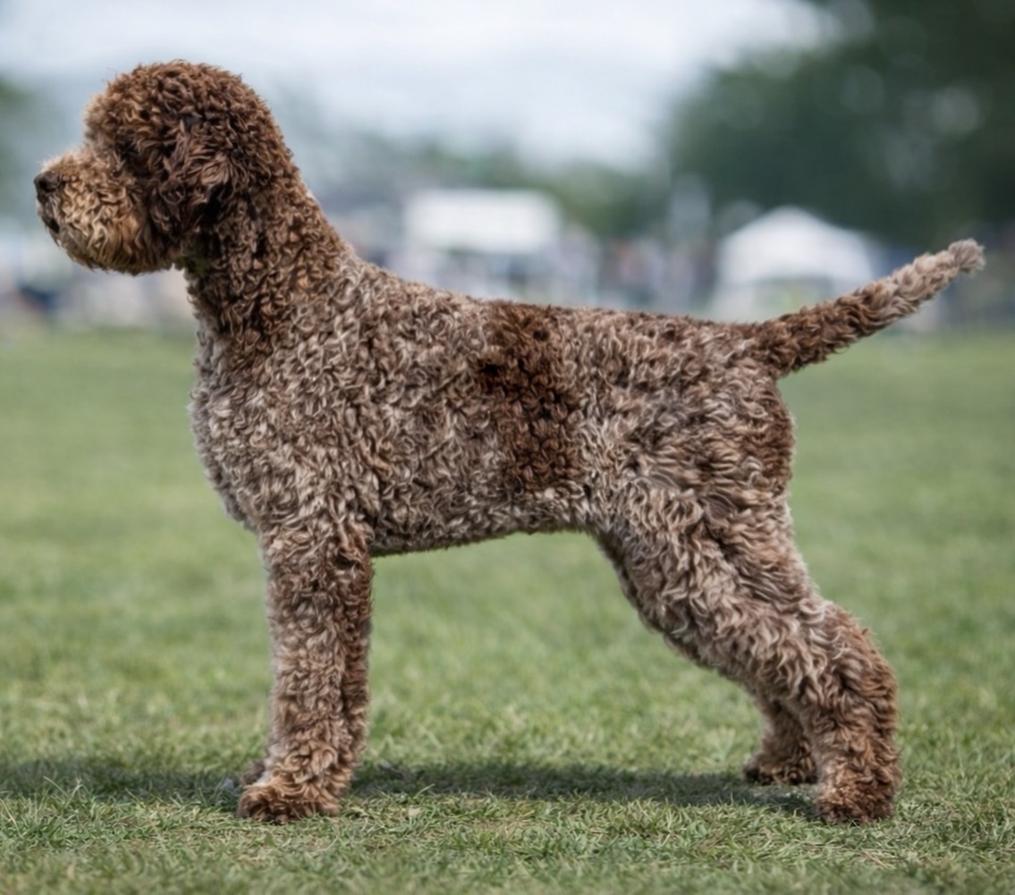 Il Granaio Dei Malatesta Ossobuco