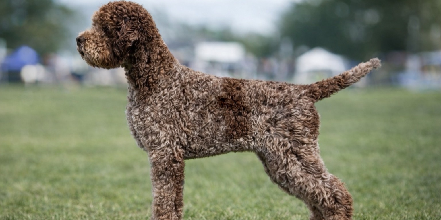 Il Granaio Dei Malatesta Ossobuco