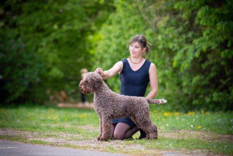 Il Granaio dei Malatesta Dick Dastardly Of Pendlebrier