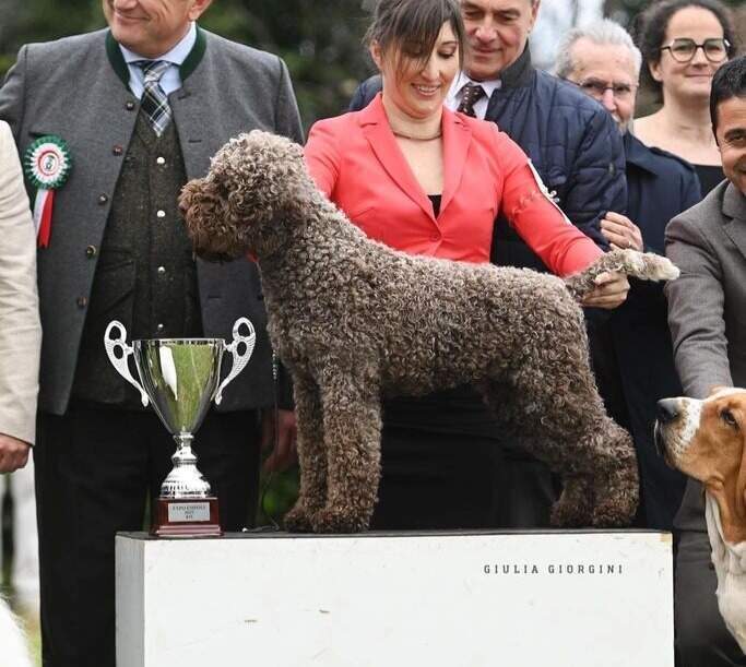 Il Granaio dei Malatesta Dick Dastardly Of Pendlebrier