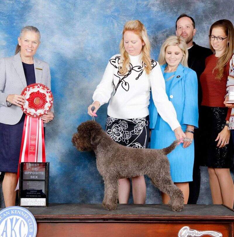 National Specialty 2026